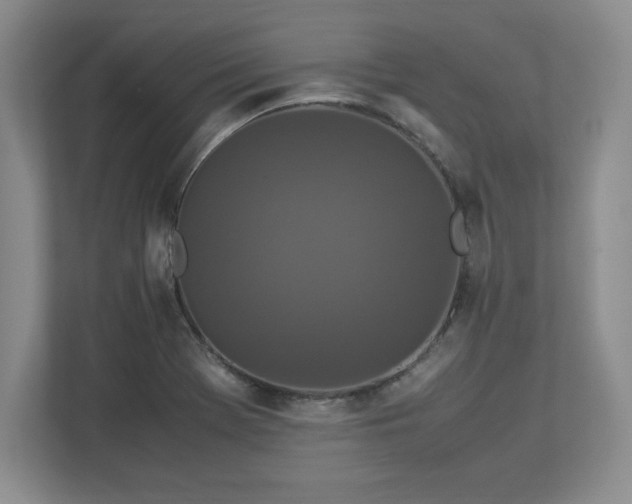 X0000113071369200909041049