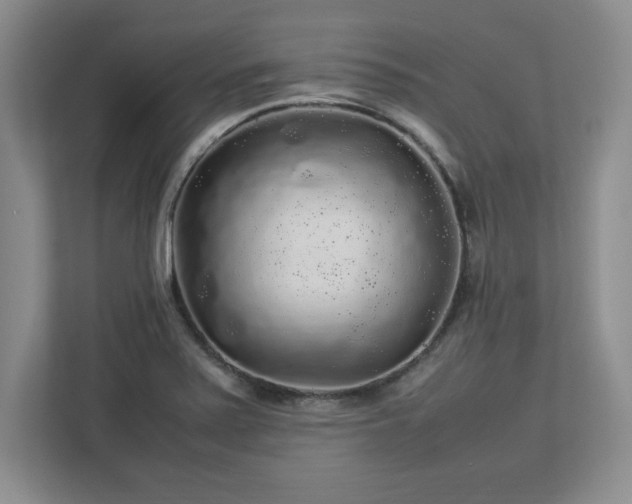 X0000113071371200909041049