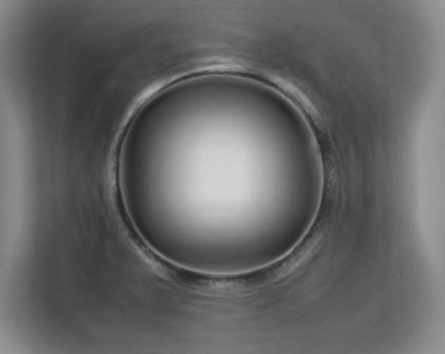 X0000113071375200909041049