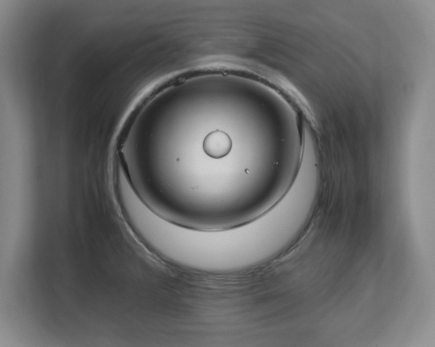 X0000113071376200909041049