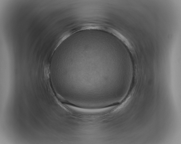 X0000113071377200909041049