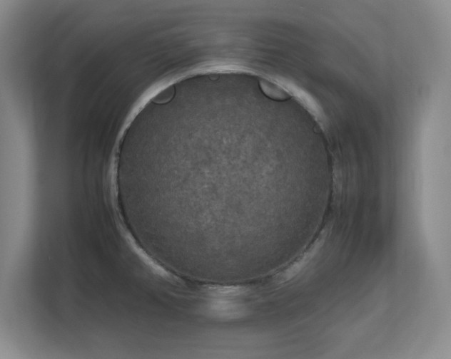 X0000113071382200909041049