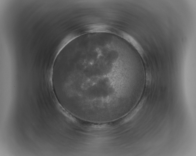 X0000113071386200909041049