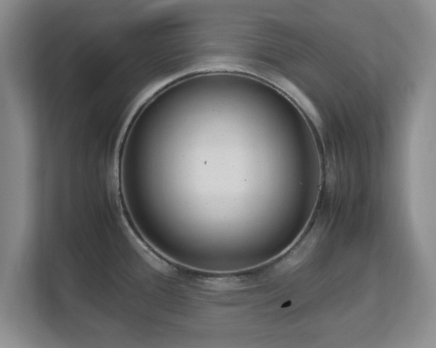 X0000113071388200909041049