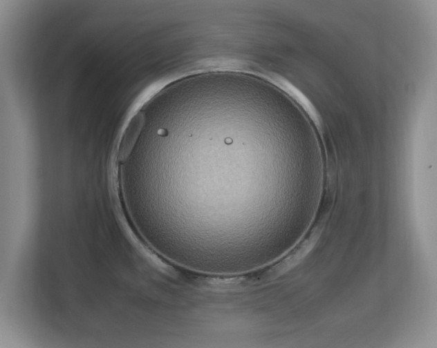 X0000113071389200909041049