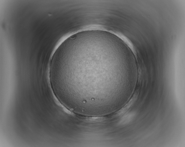 X0000113071390200909041049