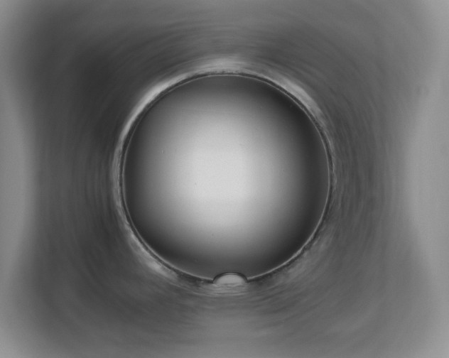 X0000113071392200909041049