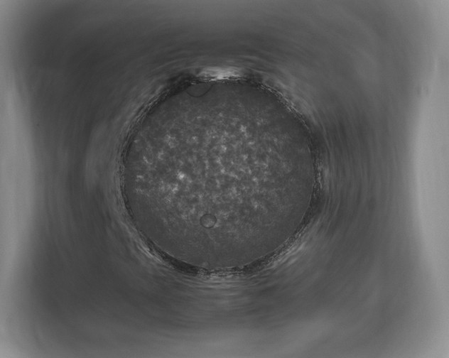 X0000113071393200909041048