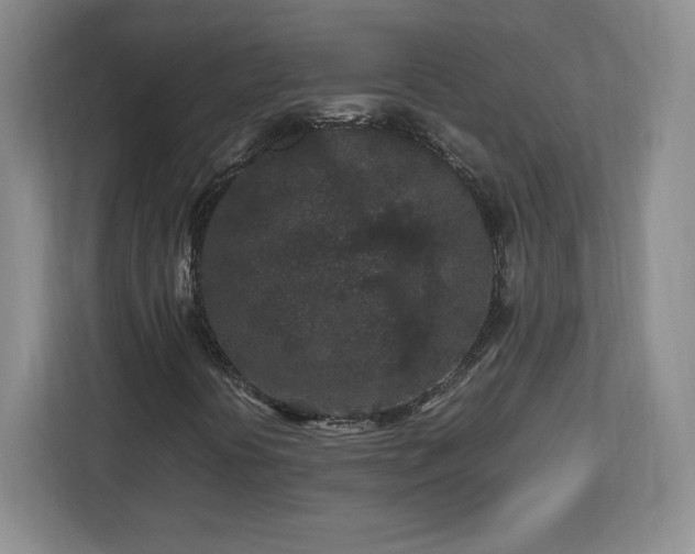 X0000113071394200909041048