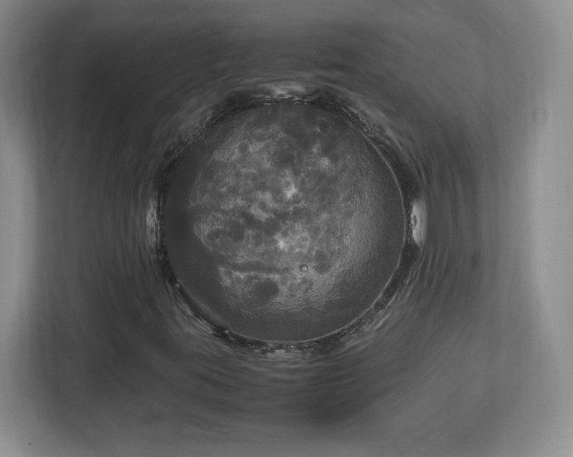 X0000113071395200909041048