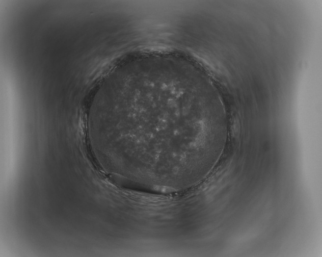 X0000113071397200909041048