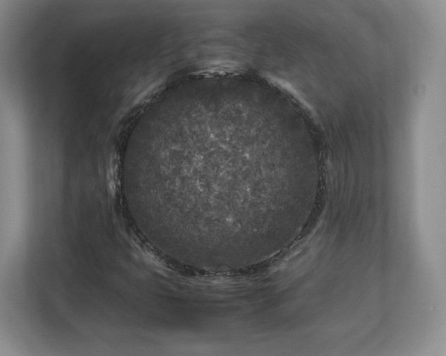 X0000113071399200909041048