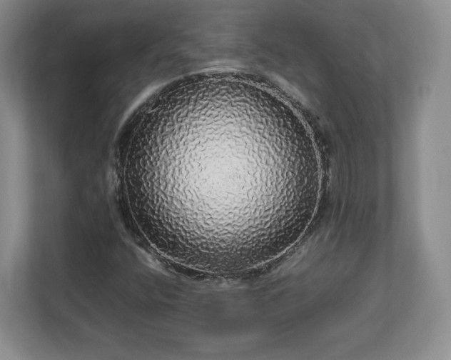 X0000113071400200909041048