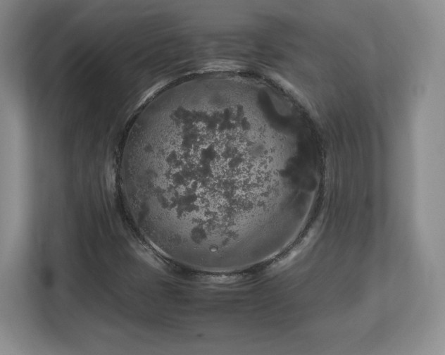 X0000113071401200909041048