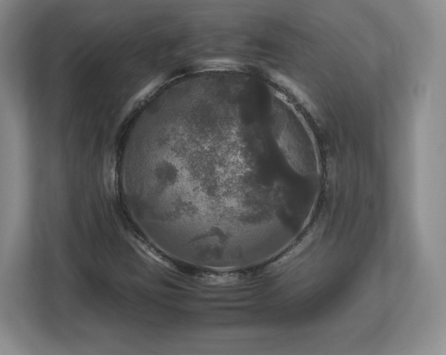 X0000113071403200909041048