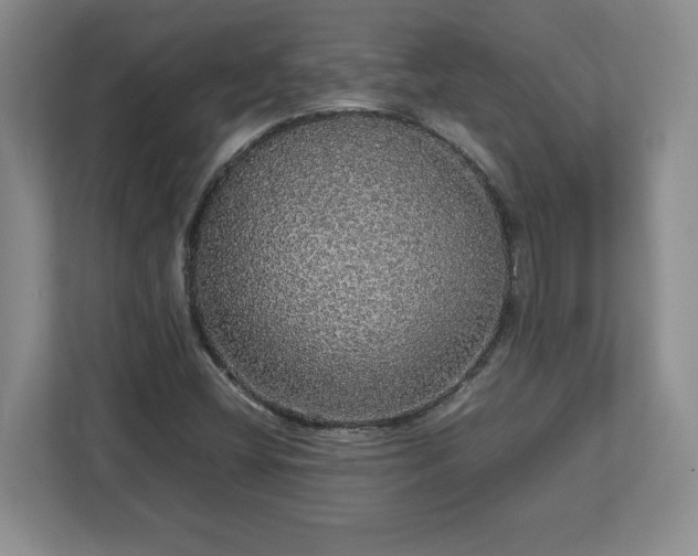 X0000113071404200909041048