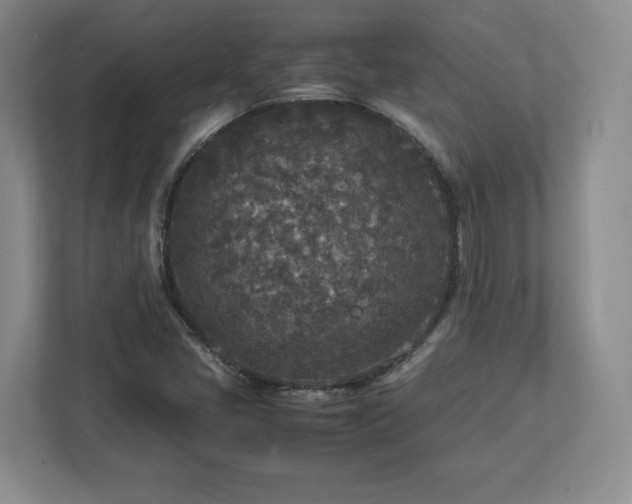 X0000113071405200909041048