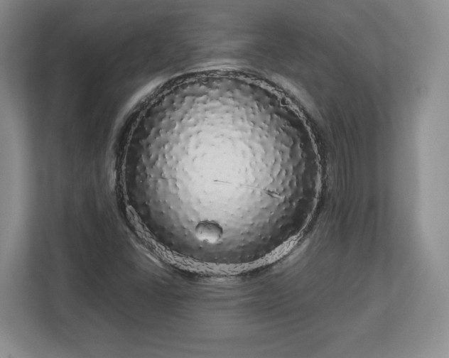 X0000113071406200909041048