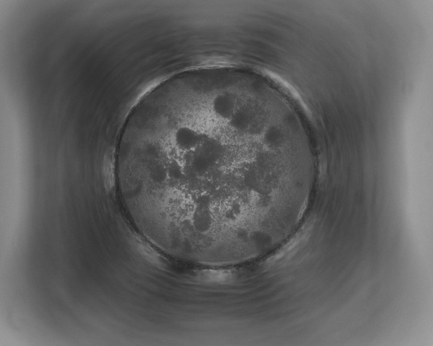 X0000113071409200909041048