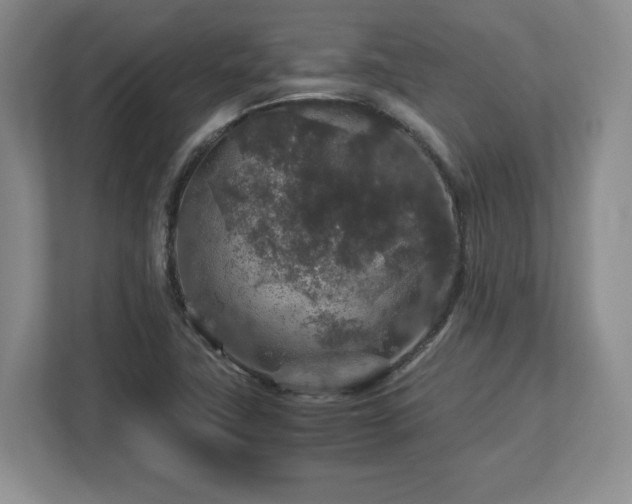 X0000113071411200909041049