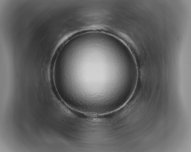 X0000113071412200909041049