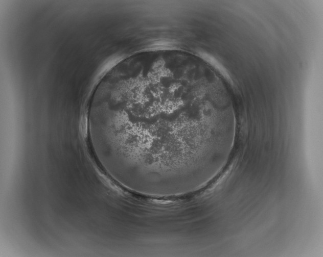 X0000113071413200909041049