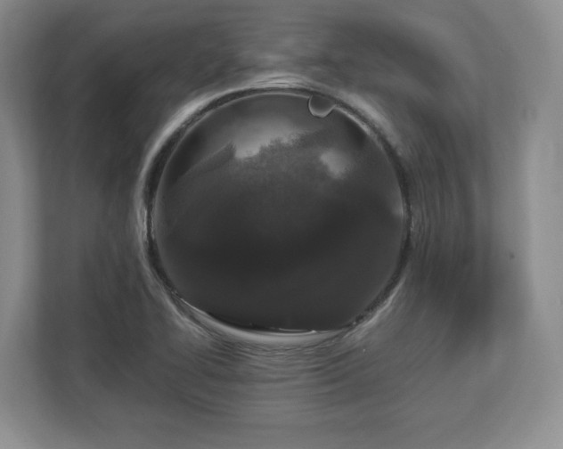 X0000113071414200909041049