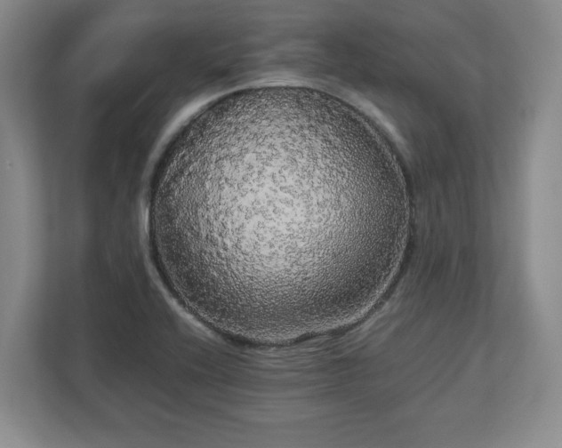 X0000113071416200909041049