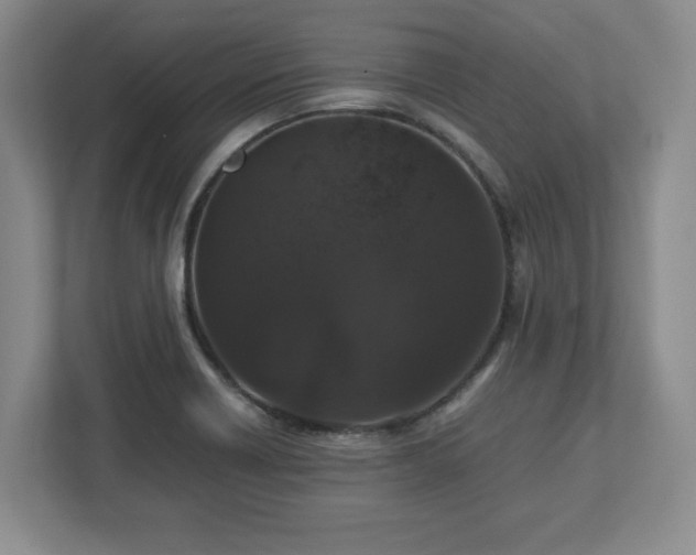 X0000113071418200909041049