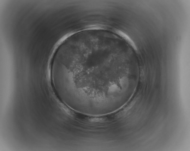 X0000113071419200909041049