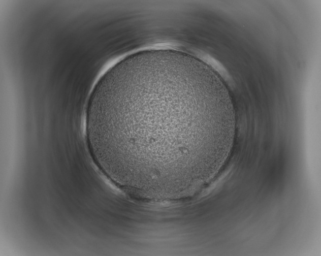 X0000113071420200909041049