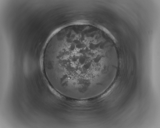 X0000113071421200909041049