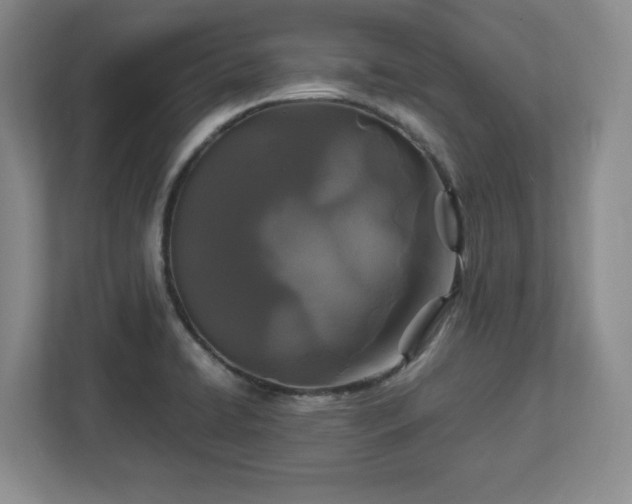 X0000113071422200909041049