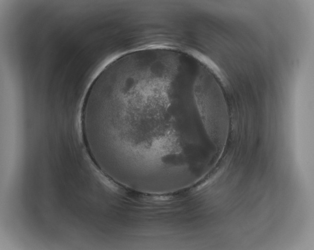 X0000113071423200909041049