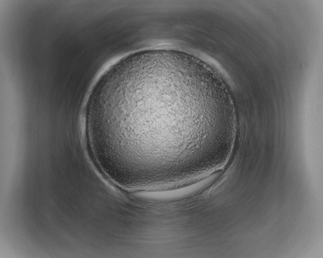 X0000113071424200909041049