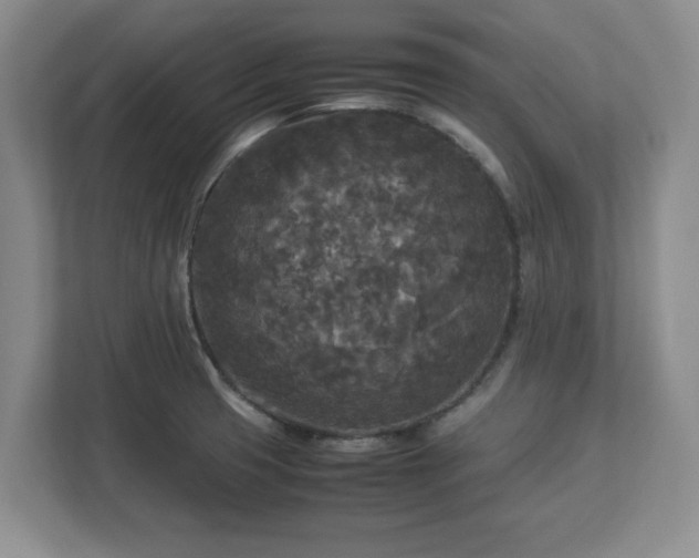 X0000113071425200909041049