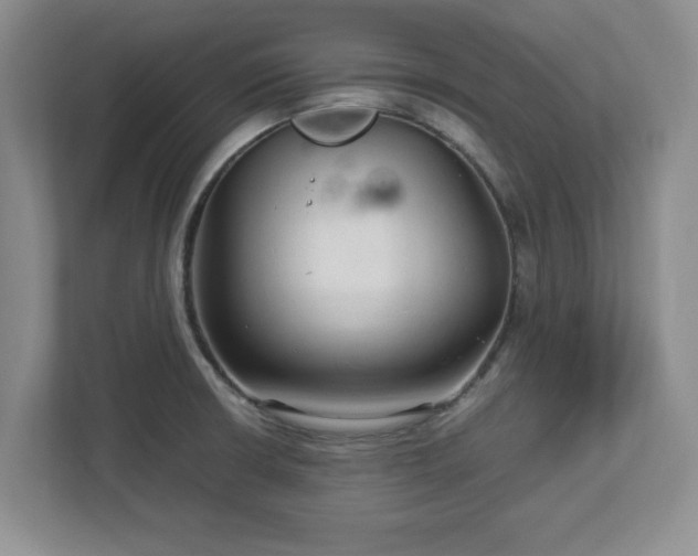 X0000113071426200909041049