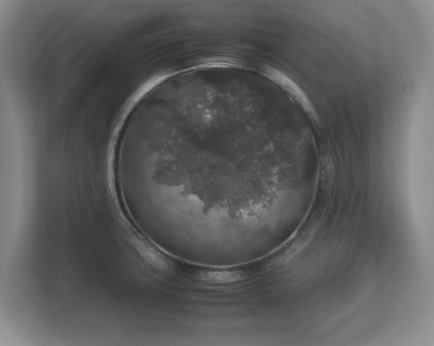 X0000113071427200909041049