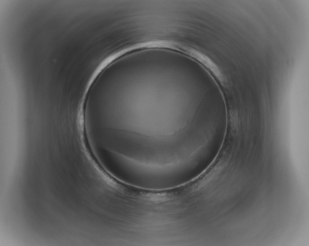 X0000113071428200909041049