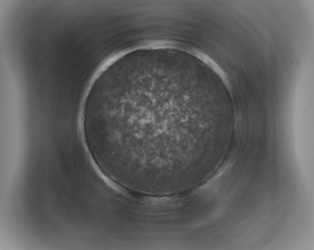 X0000113071429200909041049