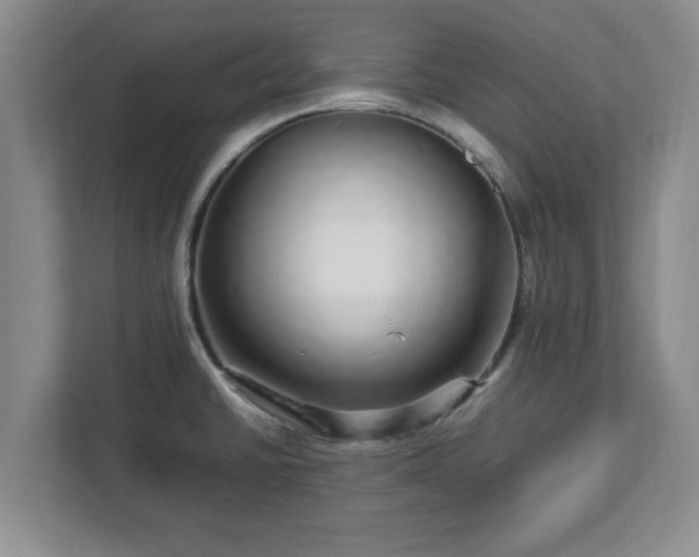 X0000113071430200909041049