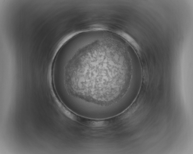 X0000113071431200909041049