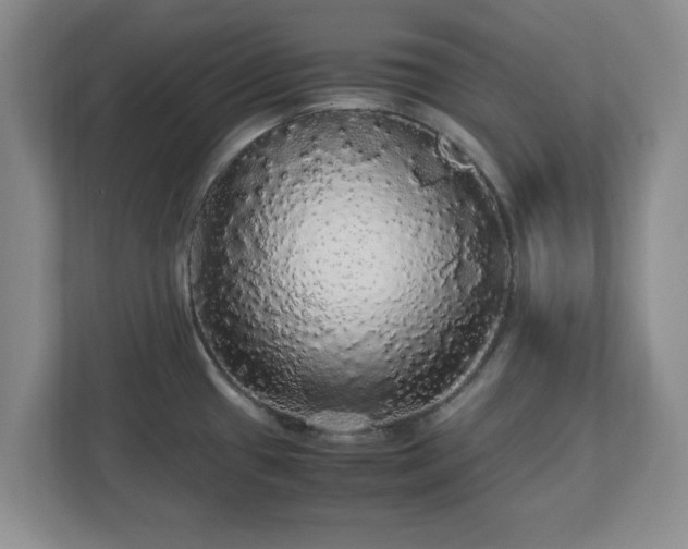 X0000113071433200909041049