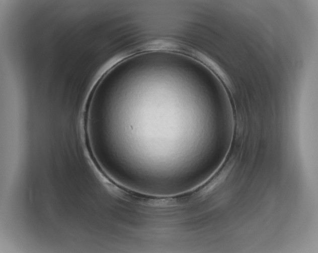 X0000113071434200909041049