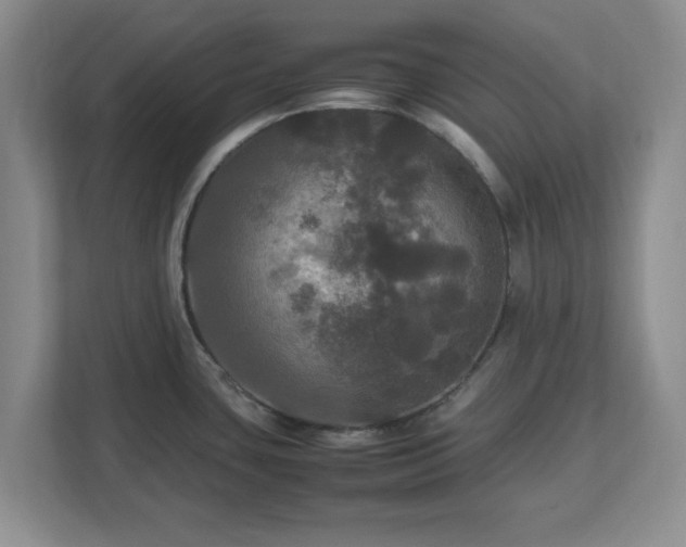 X0000113071435200909041049