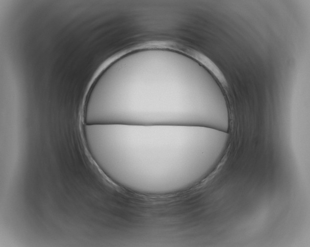 X0000113071436200909041049