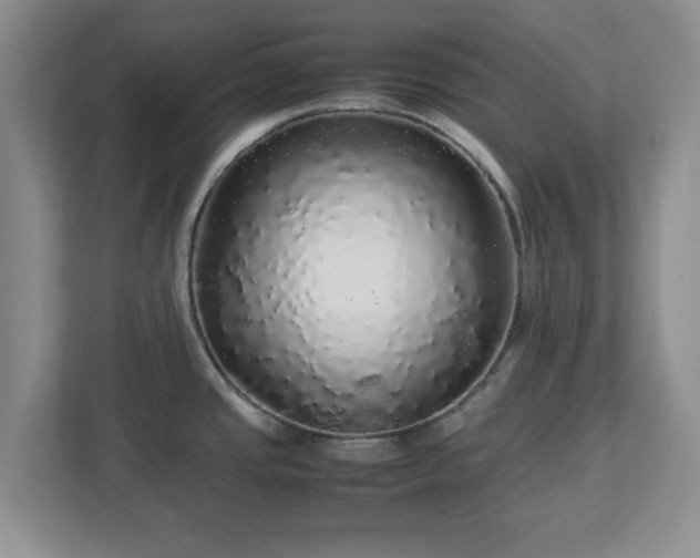 X0000113071437200909041049