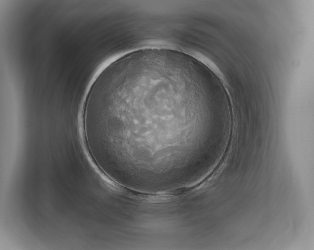 X0000113071440200909041049