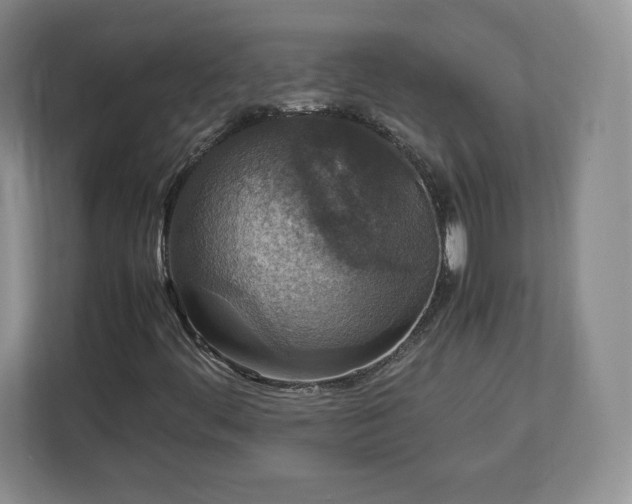 X0000113071444200909041048