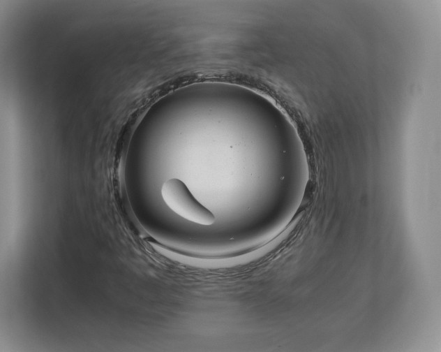 X0000113071445200909041048